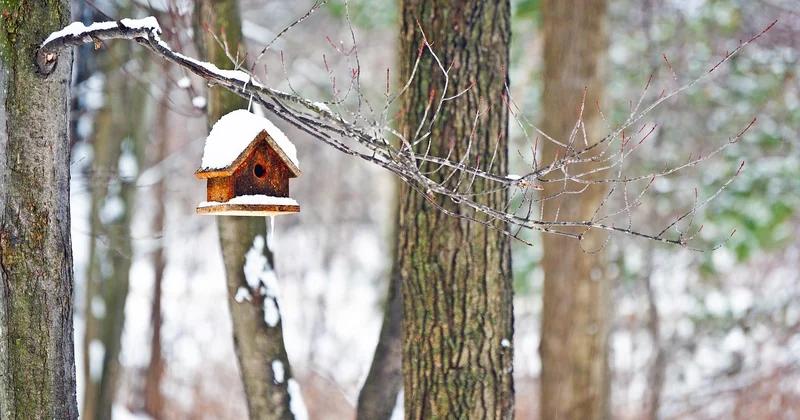 Winter-Old Money: Schichten, die wärmen und beeindrucken